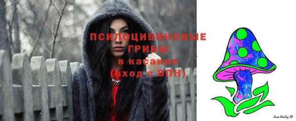твердый Каменск-Шахтинский