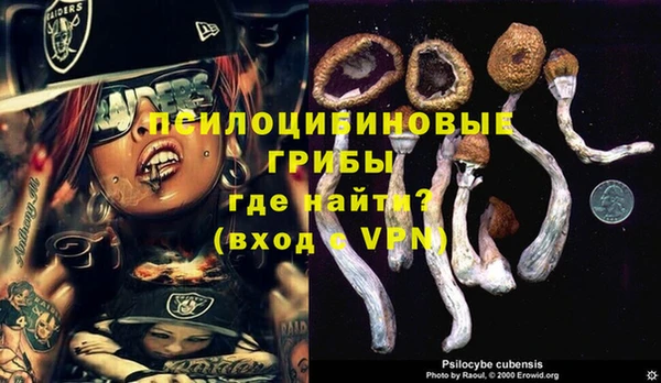 кокаин VHQ Каменногорск