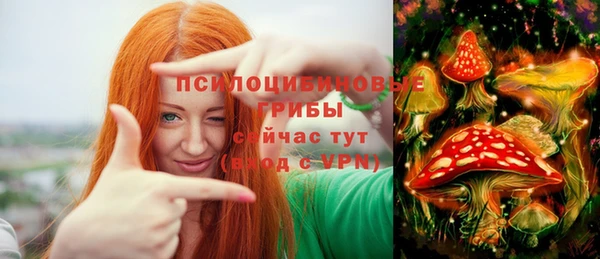 твердый Каменск-Шахтинский